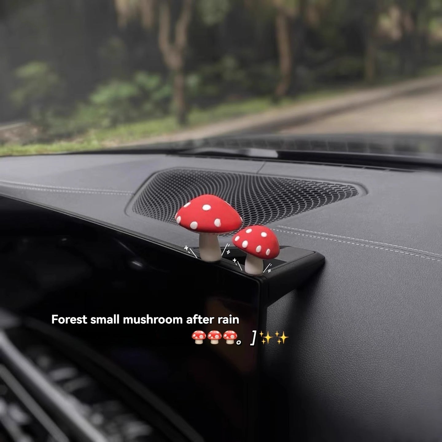 Red mushrooms, one big and one small