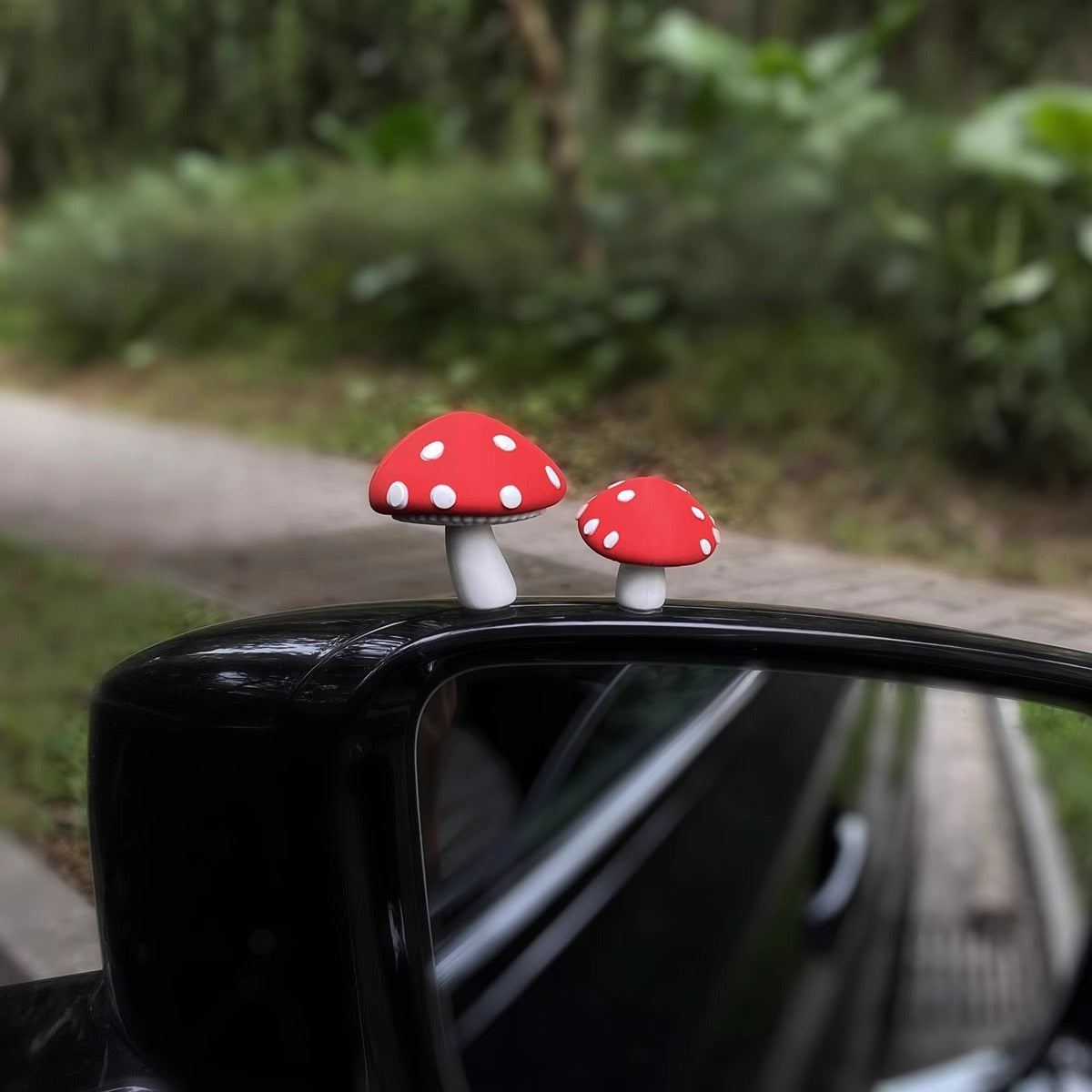Red mushrooms, one big and one small